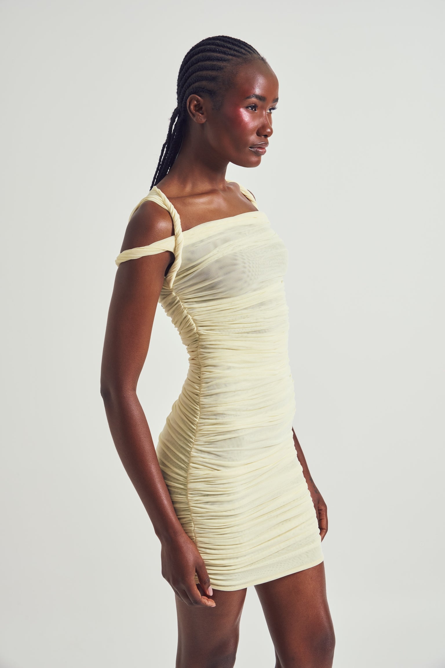 Celeste Ruched Mesh Mini Dress